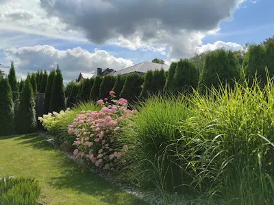 Nieziemskie Ogrody Magdalena Surin